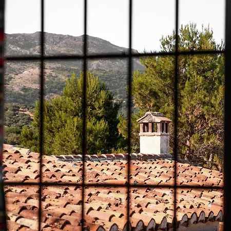 ホテル Algaba De *