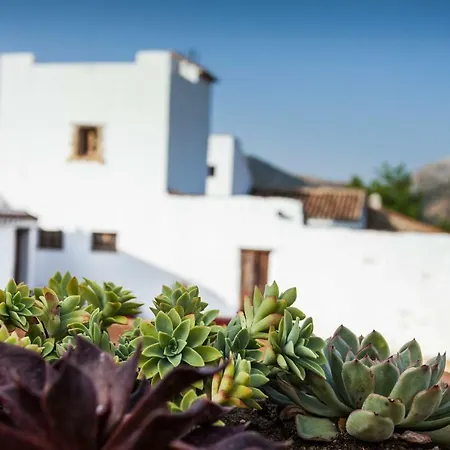 ホテル Algaba De ロンダ