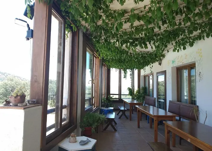 Szálloda Algaba De *