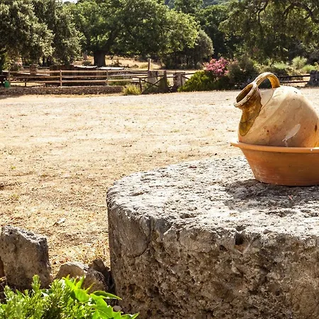 Algaba De * Ρόντα