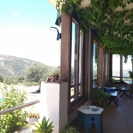 Algaba De * Ρόντα